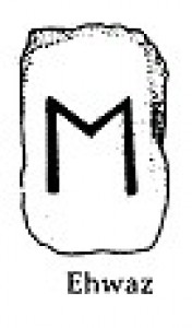 ehwaz.jpg