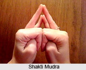 shakti_mudra.jpg