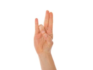 rudra_mudra_1.jpg